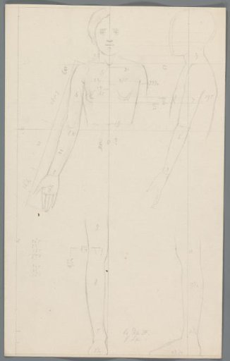 Proportion study of a woman
