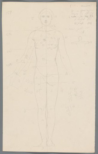 Proportion study of a woman