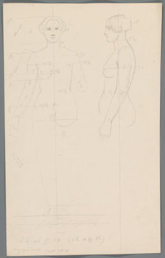 Proportion study of a woman