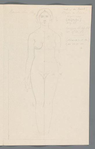 Proportion study of a woman