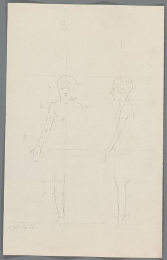 Proportion study of a girl