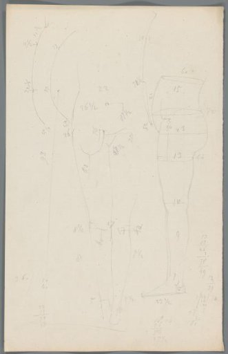 Proportion study of a lower body