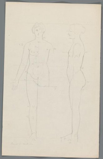Proportion study after the Venus de' Medici