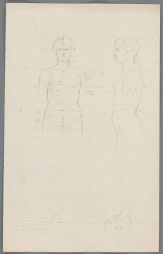Proportion study after the Venus de Milo