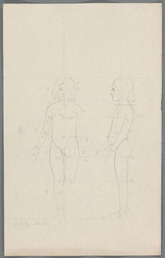 Proportion study of a girl