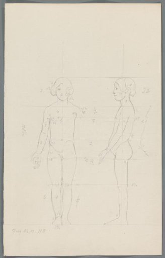 Proportion study of a girl