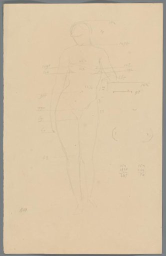 Proportion study of a woman