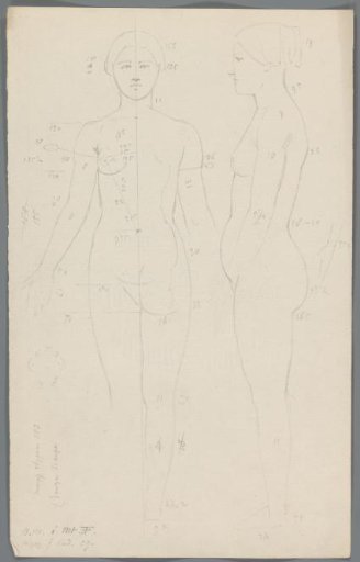 Proportion study of a woman