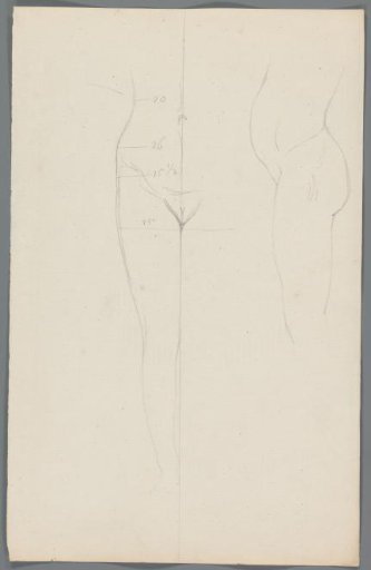 Study of a woman's lower body