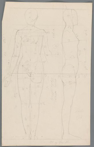 Proportion Study of a Woman