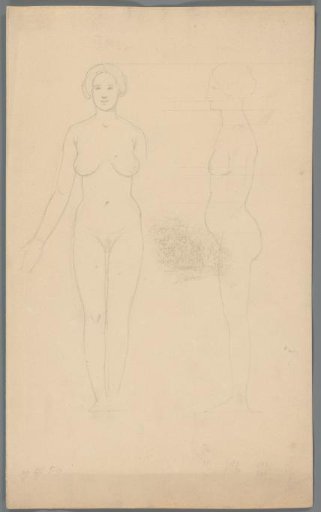 Proportion study of a woman