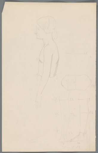 Proportion Study of a Young Woman
