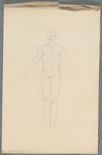 Proportion study of a man
