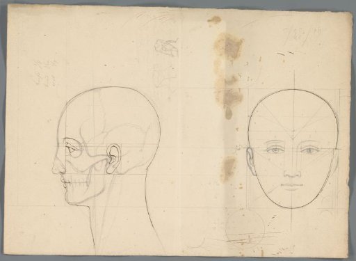 Study of a head
