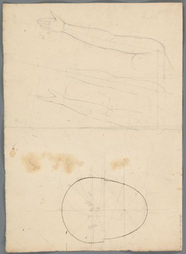 Study of a head and of arms