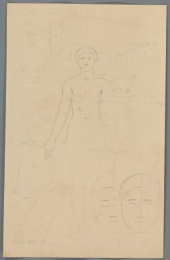 Proportion study of a woman's body and face