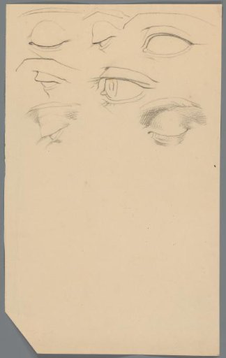 Study sheet with eyes