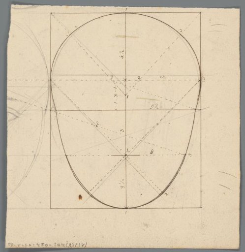 Proportion study of a head