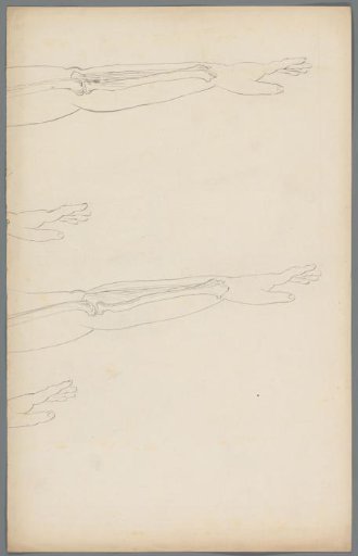 Studies of the bones in an arm