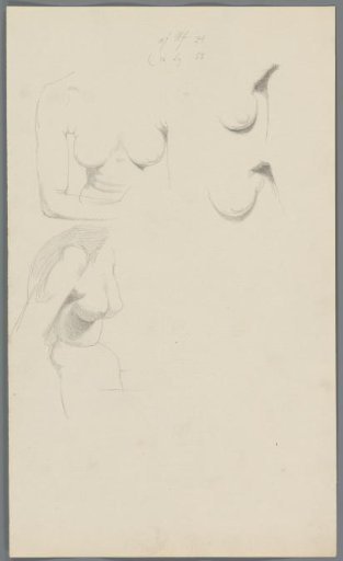 Studies of breasts