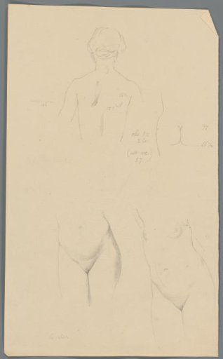 Study of the back and lower body of a woman