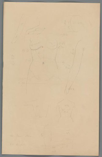 Proportion study of a woman