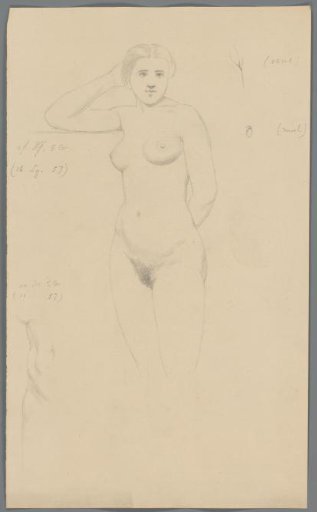 Study of a woman