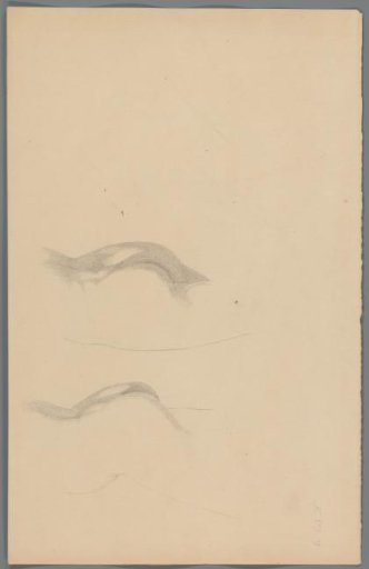 Study of buttocks