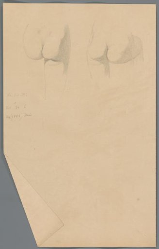 Study of buttocks