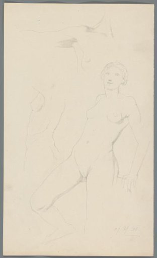 Studies of a nude woman
