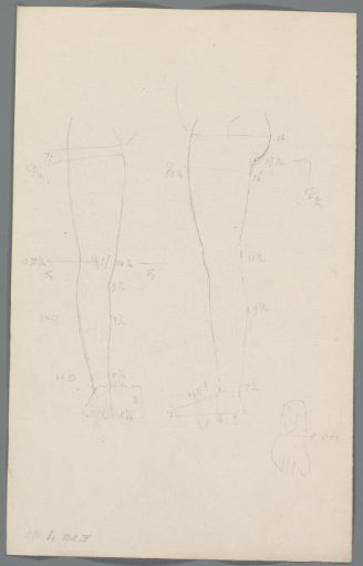 Study of a leg