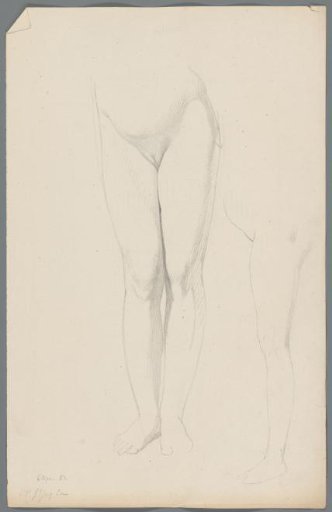 Study of the lower body of a woman