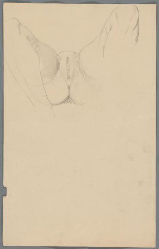Study of the Lower Body of a Woman with Legs Drawn Up