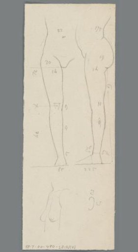 Study of legs and breasts
