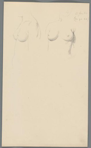Study of breasts