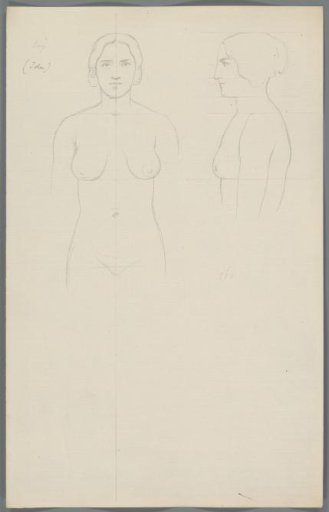 Proportion study of a woman
