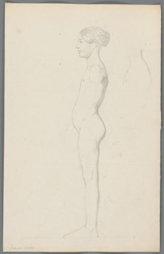 Proportion study of a girl