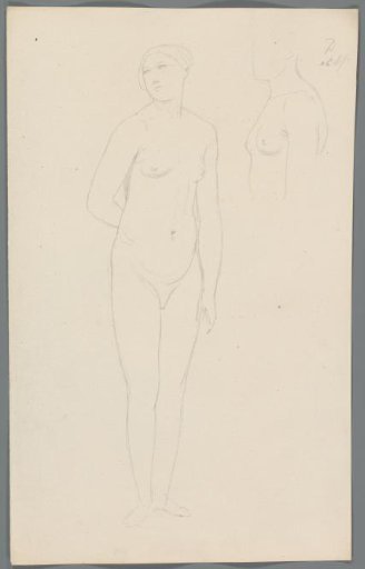 Proportion study of a woman
