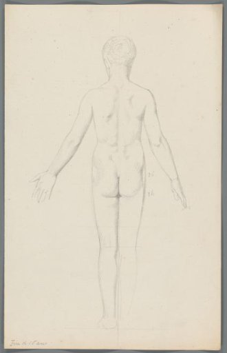 Proportion study of a girl