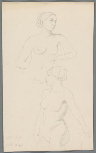 Proportion studies of a woman