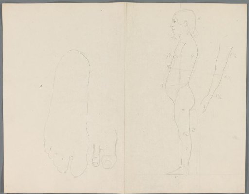 Outline of a foot and study of a girl