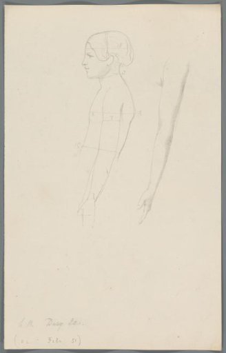 Proportion study of a girl