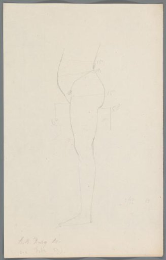 Proportion study of a lower body