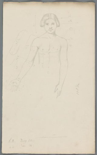 Proportion study of the upper body of a girl