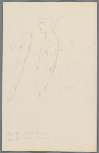 Proportion study of the upper body of a girl