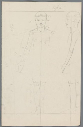Proportion study of a girl