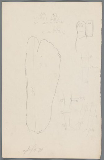 Outline of a foot and studies of arms and legs