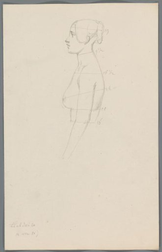 Proportion study of a woman