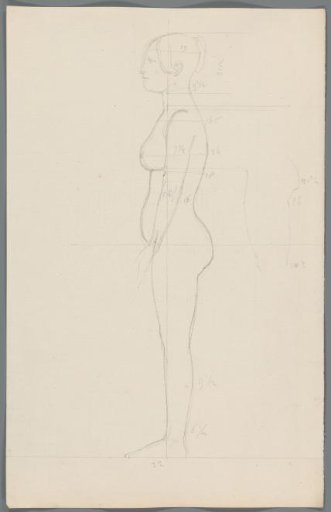 Proportion study of a woman
