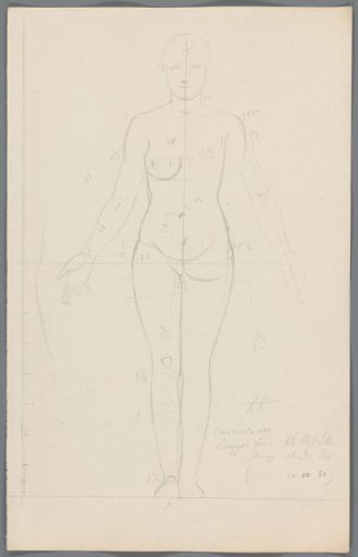 Proportion study of a woman